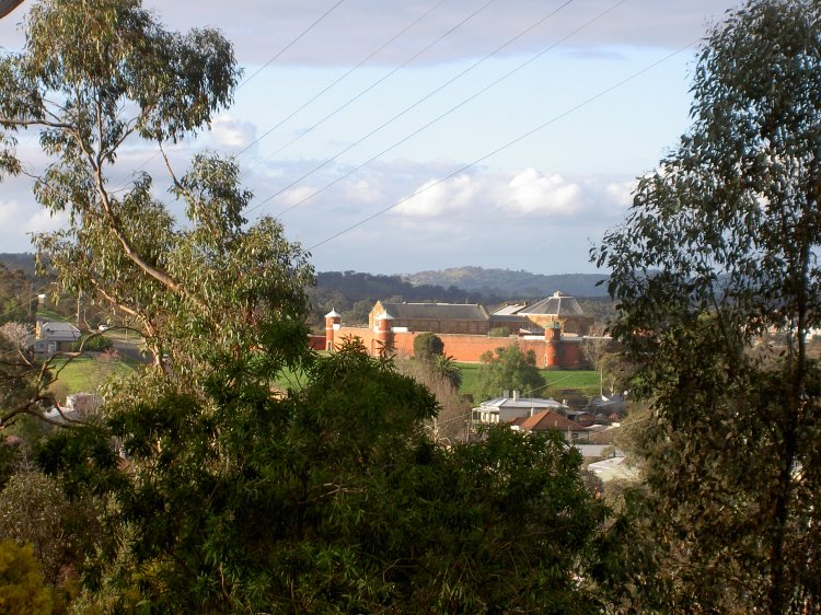 View from kitchen window