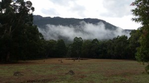 View from kitchen window