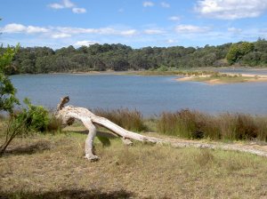 Mouth of the Bega River