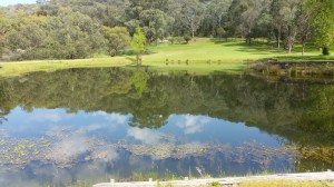 4th Hole, from the tee