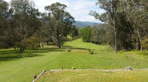 5th Hole, from the tee