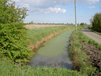 General view of the marshes 