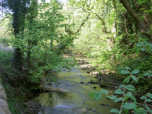 Between Cupar and Crail