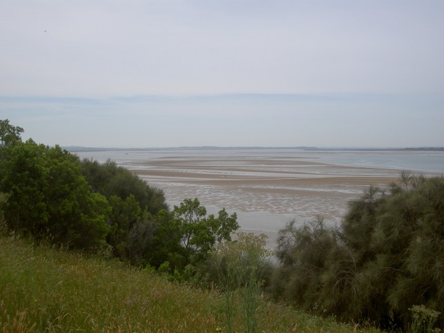 View from Townsend Bluff